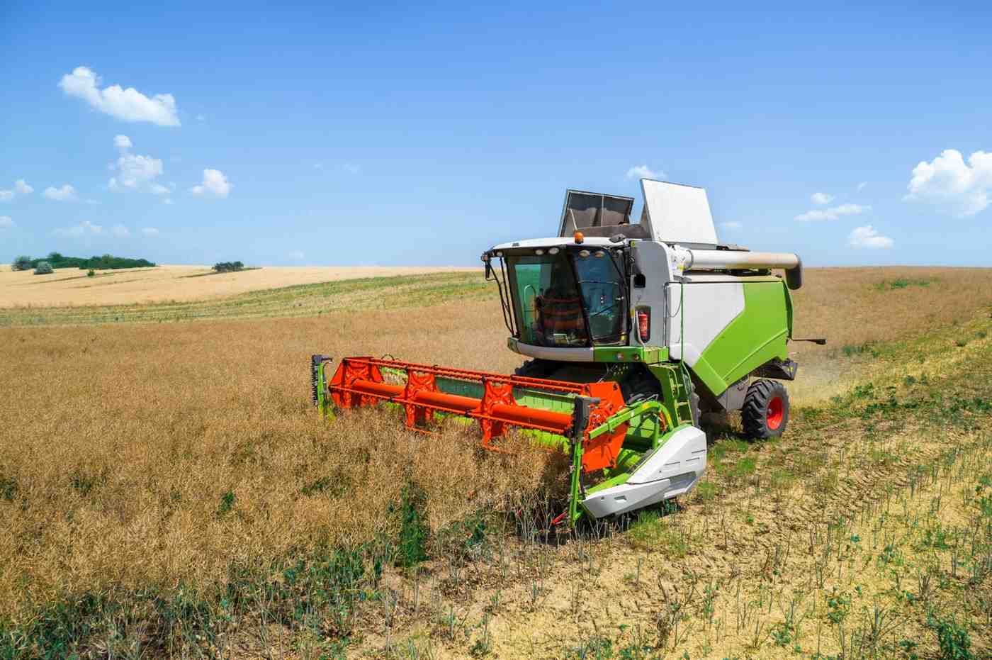 A modern combine harvester working on a vast farmland, representing opportunities for immigrant farmers in the U.S.